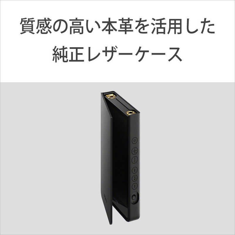 Sony Others Walkman Zx [64Gb/2023 Nw-Zx707 C