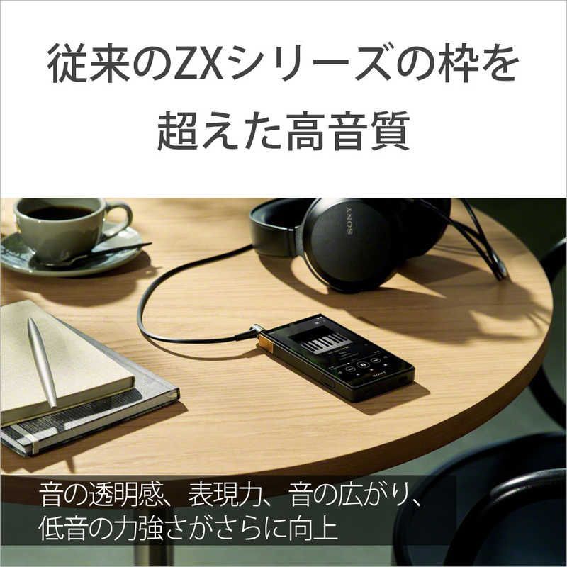Sony Others Walkman Zx [64Gb/2023 Nw-Zx707 C