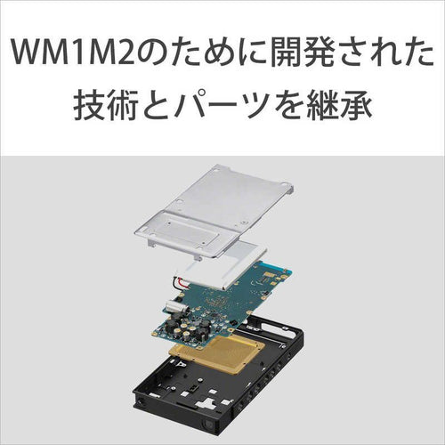 Sony Others Walkman Zx [64Gb/2023 Nw-Zx707 C