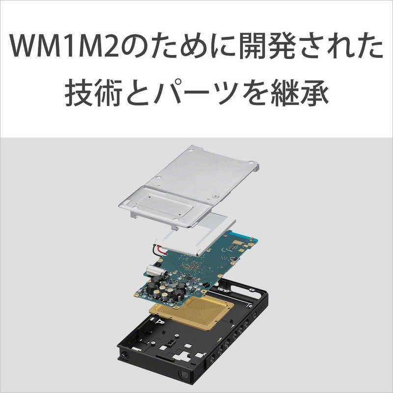 Sony Others Walkman Zx [64Gb/2023 Nw-Zx707 C