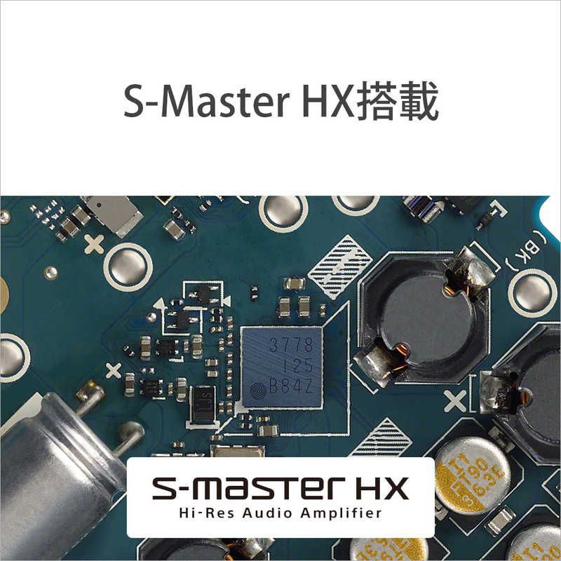 Sony Others Walkman Zx [64Gb/2023 Nw-Zx707 C