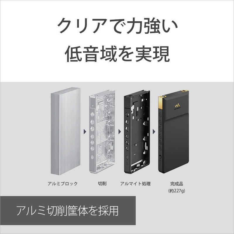 Sony Others Walkman Zx [64Gb/2023 Nw-Zx707 C
