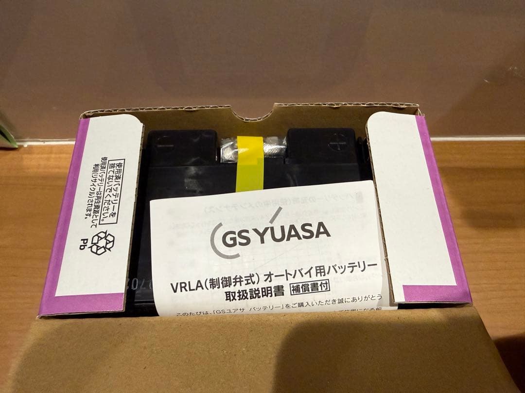 Others Gs Yuasa Ytz10S Vrla