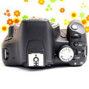 Canon Digital Slr Kiss X3