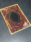 Yu-Gi-Oh! Ocg Duel Monsters (Japanese) Wp