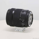 Panasonic Lens (Zoom) Lumix S 28-200 Mm F4-7.1 Macro O.I.S. L S-R28200 262