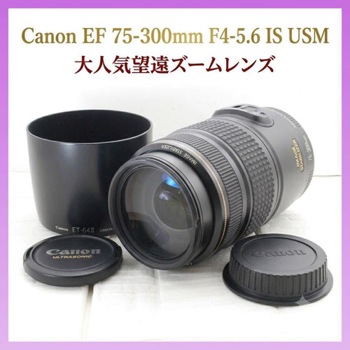 Zoom Lenses Canon Ef 75-300Mm F4-5.6 Is Usm