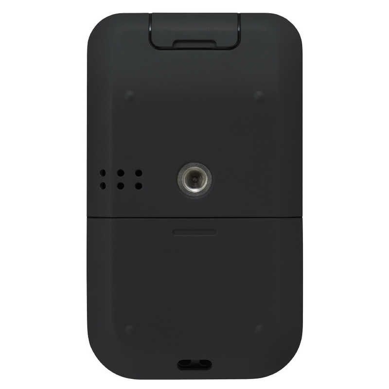 Roland Ic Recorder Voice [Bluetooth R-07-Bk
