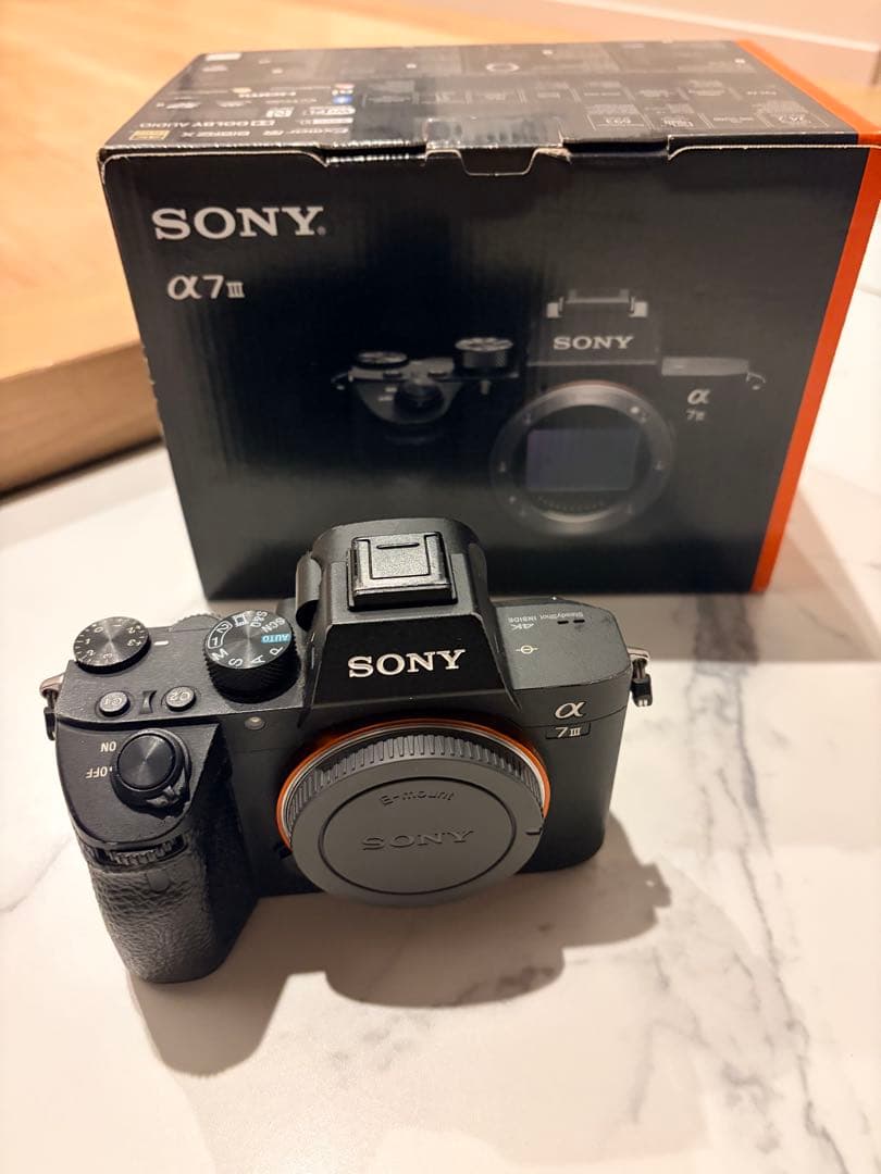 Sony Mirrorless Interchangeable Lips 7 Iii
