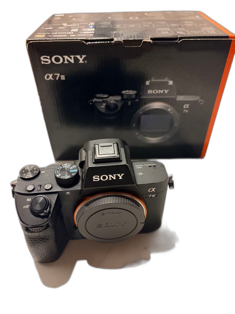 Sony Mirrorless Interchangeable Lips 7 Iii