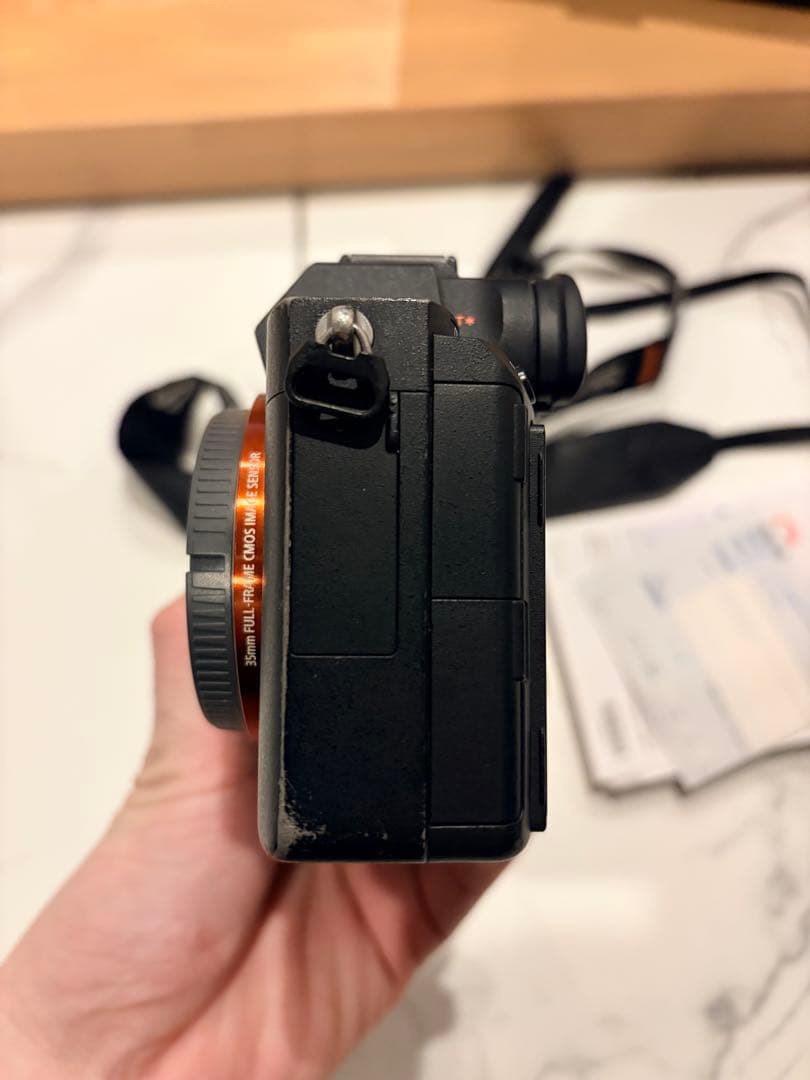 Sony Mirrorless Interchangeable Lips 7 Iii