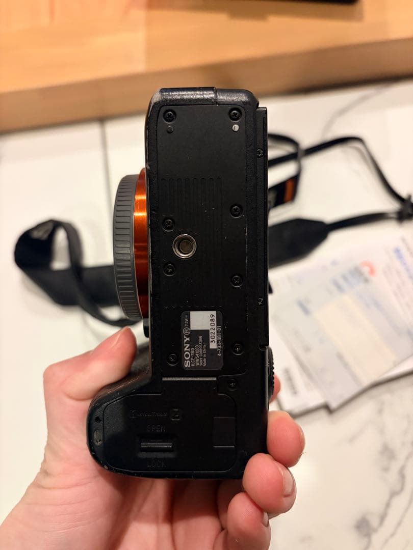 Sony Mirrorless Interchangeable Lips 7 Iii