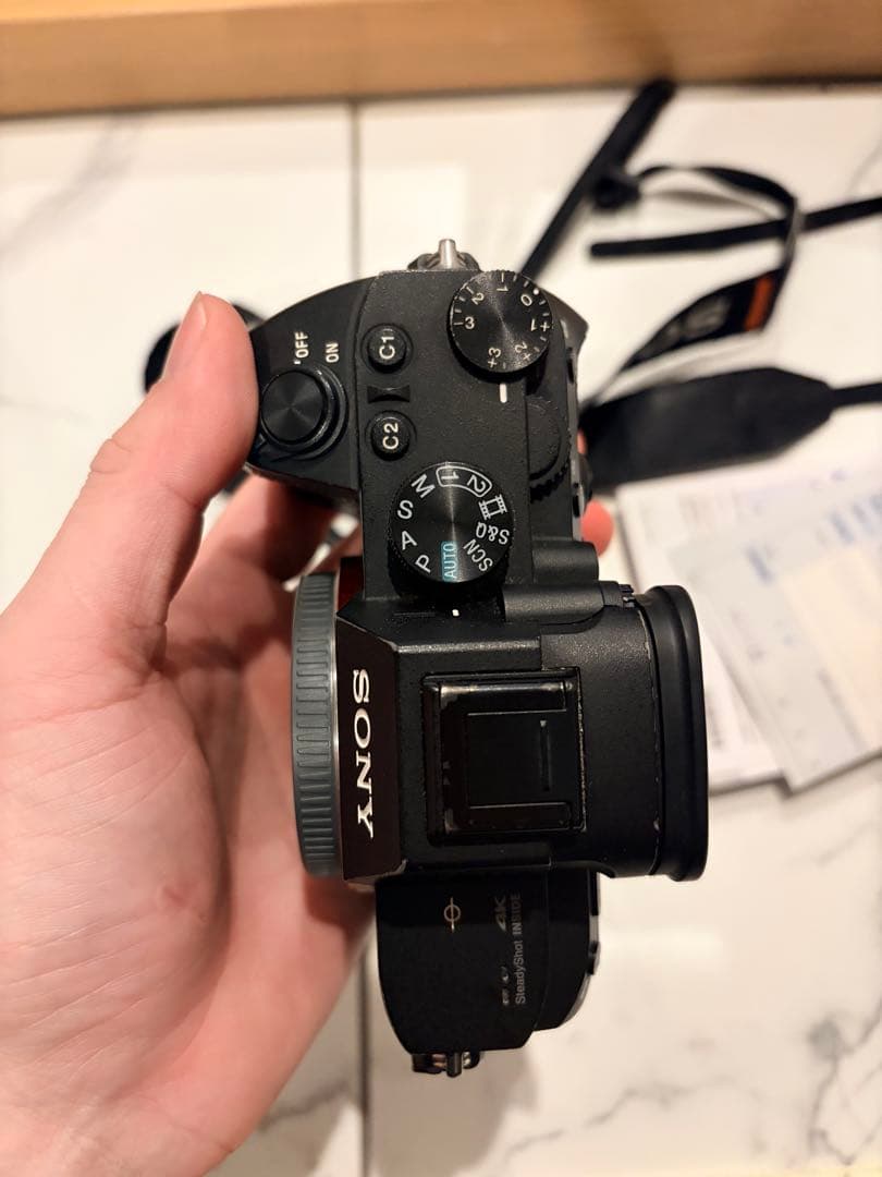 Sony Mirrorless Interchangeable Lips 7 Iii