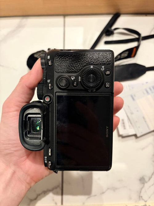 Sony Mirrorless Interchangeable Lips 7 Iii
