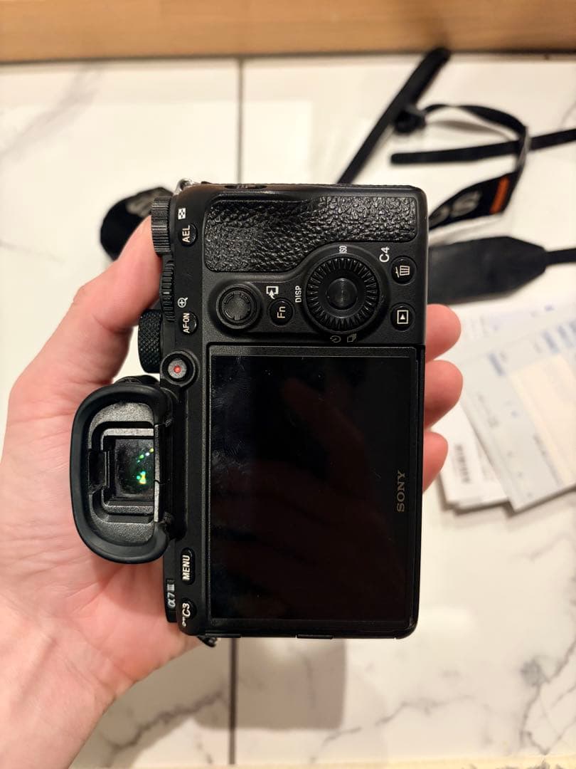 Sony Mirrorless Interchangeable Lips 7 Iii