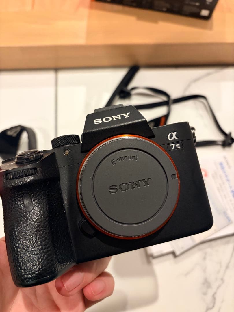 Sony Mirrorless Interchangeable Lips 7 Iii