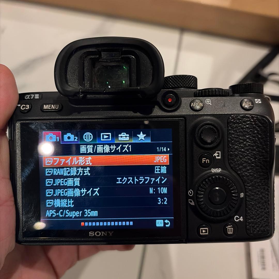 Sony Mirrorless Interchangeable Lips 7 Iii