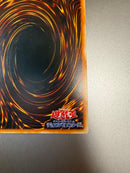 Yu-Gi-Oh! Ocg Duel Monsters (Japanese) Rds-Jp005