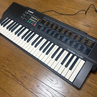 Casio Other Tonebank Ca-301Keyboard