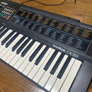 Casio Other Tonebank Ca-301Keyboard