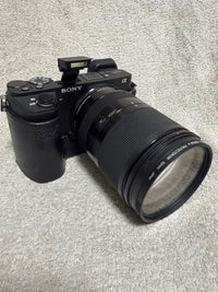 Sony Mirrorless Interchangeable Lens Cameras 6500 Sel18200Le