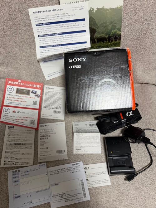 Sony Mirrorless Interchangeable Lens Cameras 6500 Sel18200Le