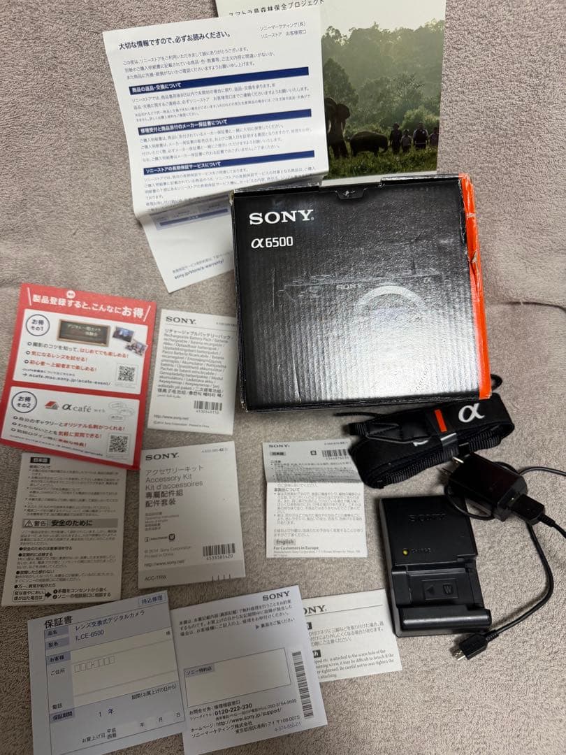 Sony Mirrorless Interchangeable Lens Cameras 6500 Sel18200Le