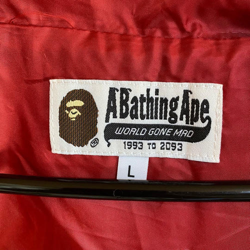 A Bathing Ape Mountain Parkas Z200P