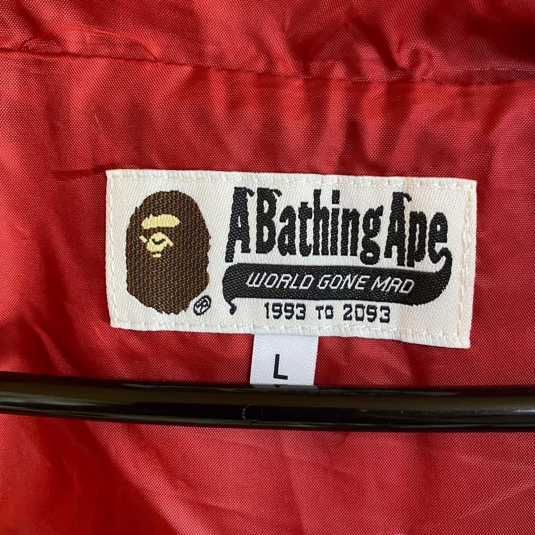 A Bathing Ape Mountain Parkas Z200P