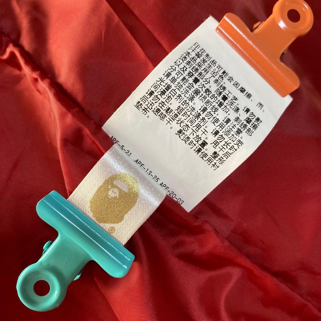 A Bathing Ape Mountain Parkas Z200P