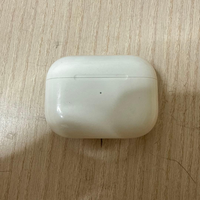 Apple Earphone Case