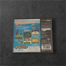 Software (Package Version) Ds