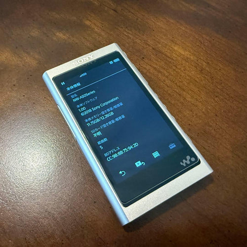 Sony Digital Audio Players Nw-A55