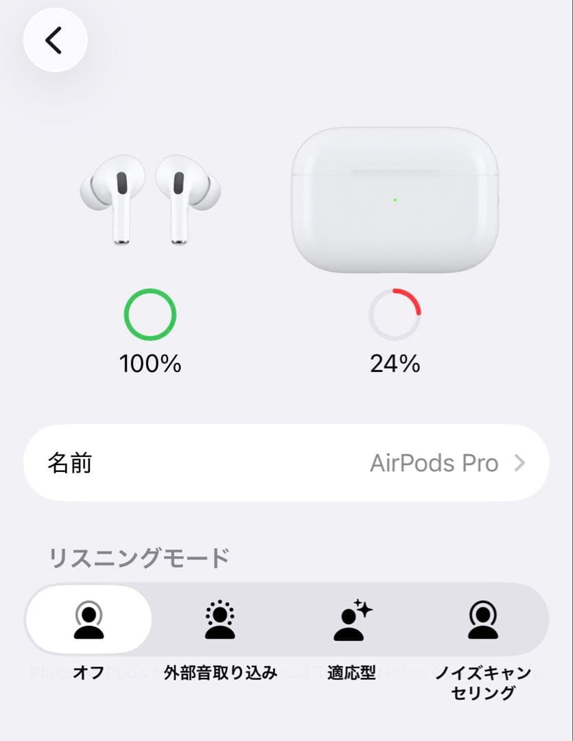 Apple Airpods Pro2 Casetify