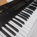 Roland Other D10 La