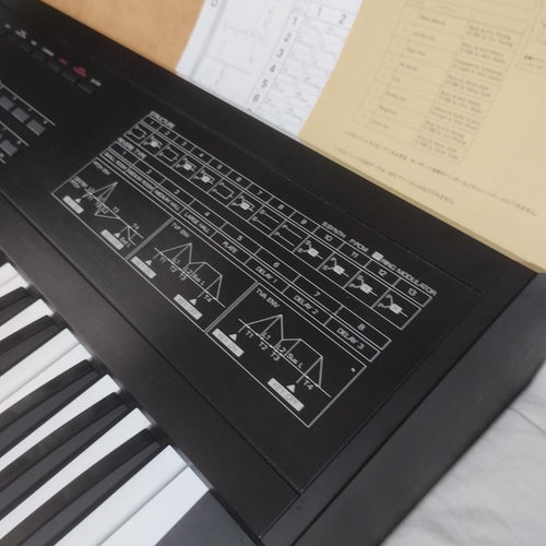 Roland Other D10 La