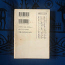 Literature Novel