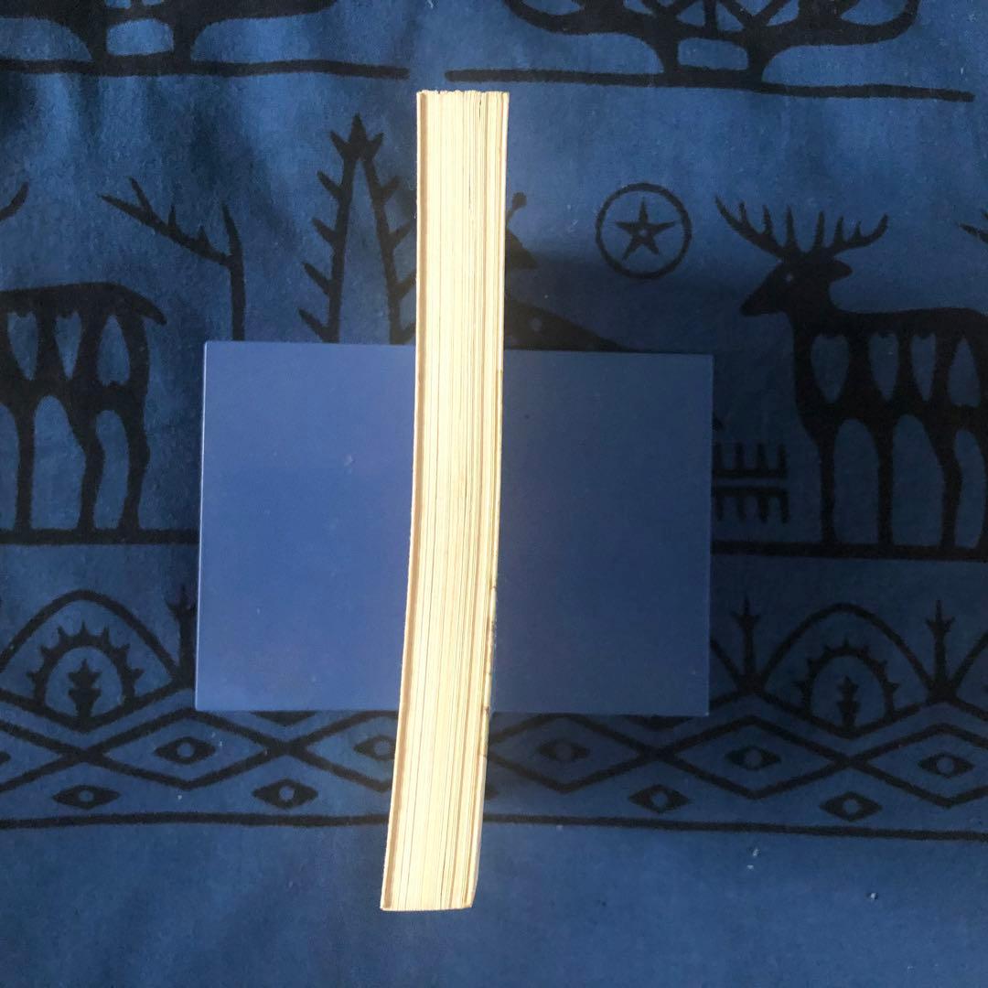 Literature Novel