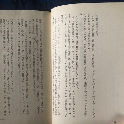 Literature Novel