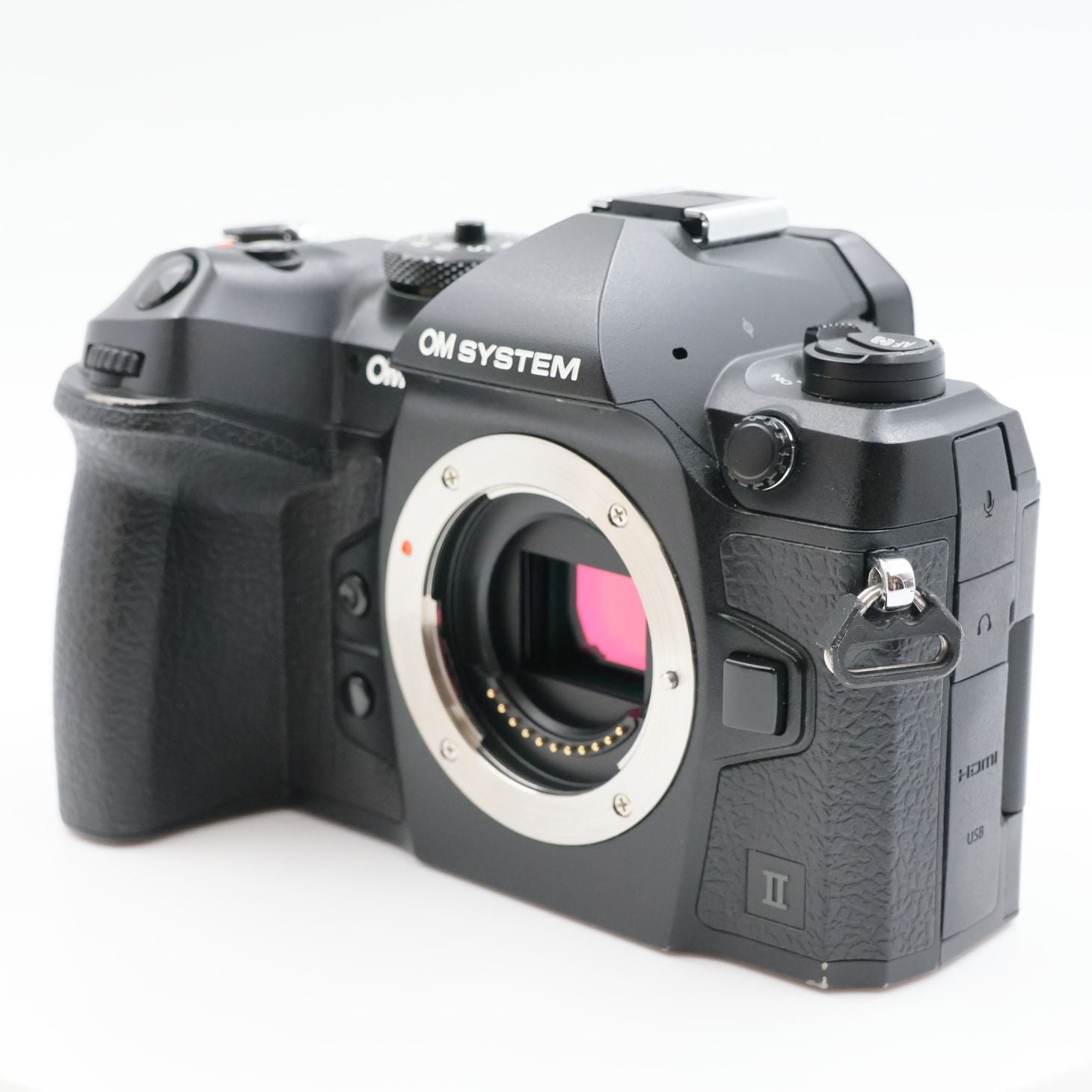 Olympus Mirrorless Interchangeable Lips 1170 Om System Om-1