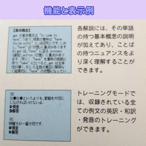 Languages, Dictionaries Study Guides Sony