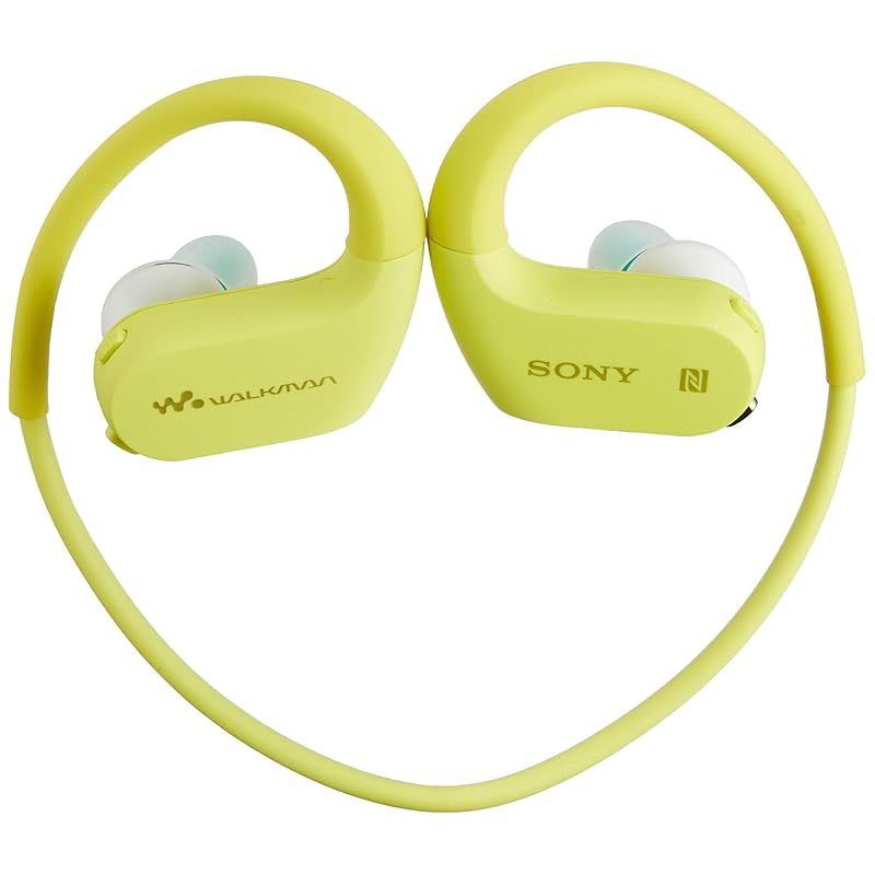 Surveillance Camera W Nw-Ws623 4Gb Mp3 Bluetooth G