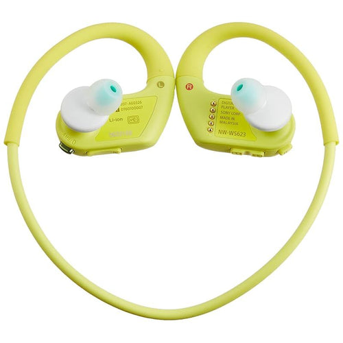 Surveillance Camera W Nw-Ws623 4Gb Mp3 Bluetooth G