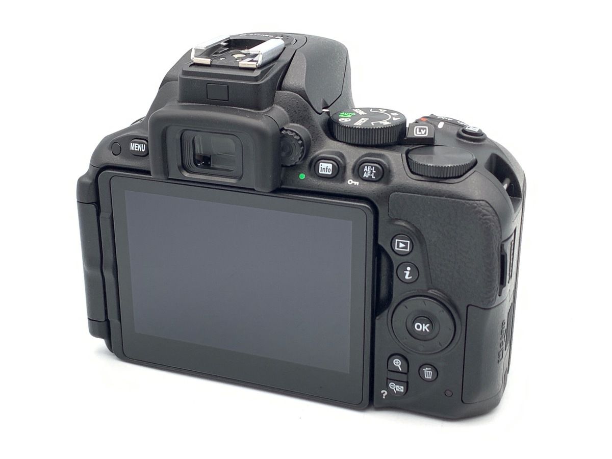 Digital Slr D5500