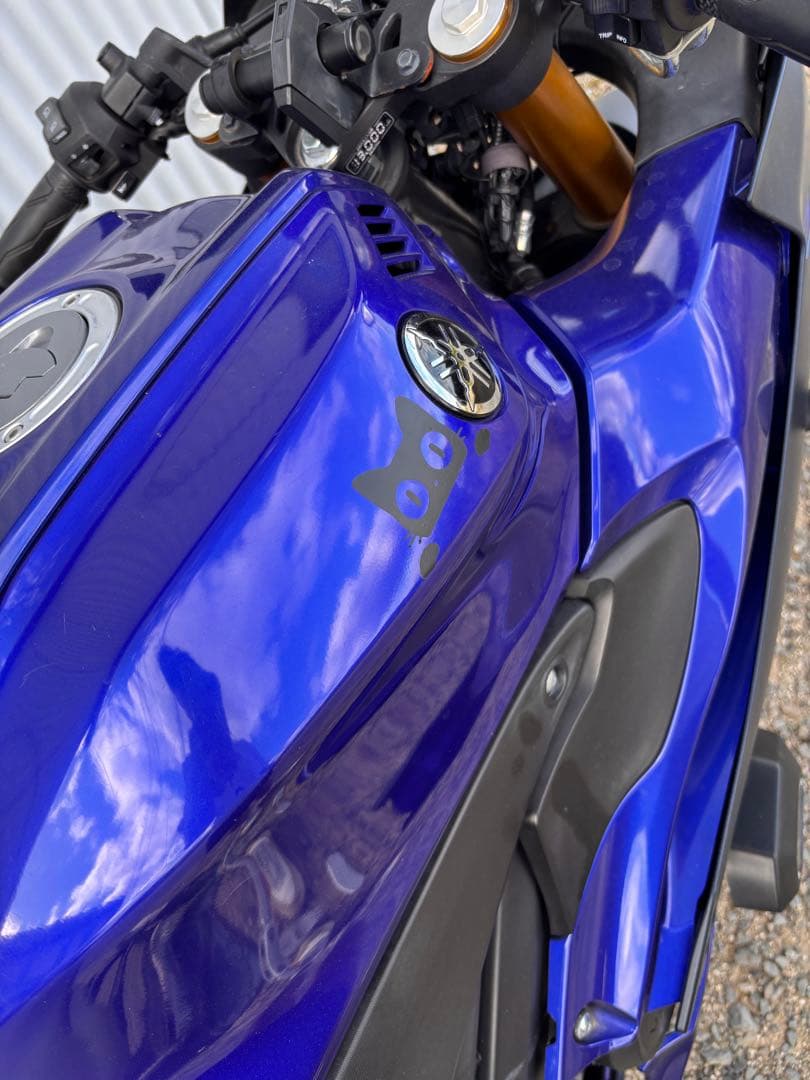 Yamaha Motorcycle Frames Yzf-R125 Re45J 2023