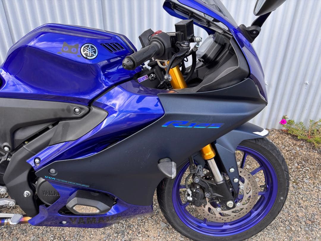 Yamaha Motorcycle Frames Yzf-R125 Re45J 2023