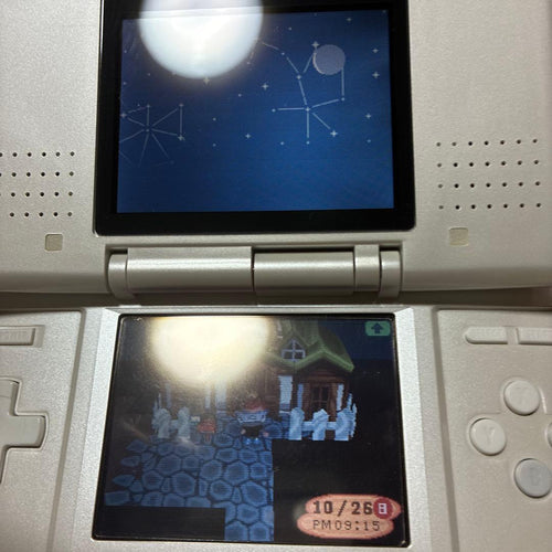 Consoles (Ds) Nintendods 2
