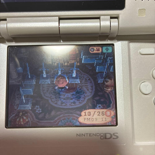 Consoles (Ds) Nintendods 2