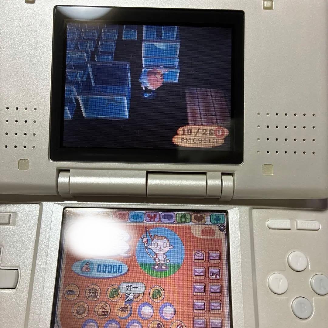 Consoles (Ds) Nintendods 2