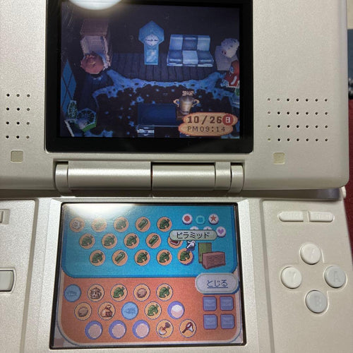 Consoles (Ds) Nintendods 2